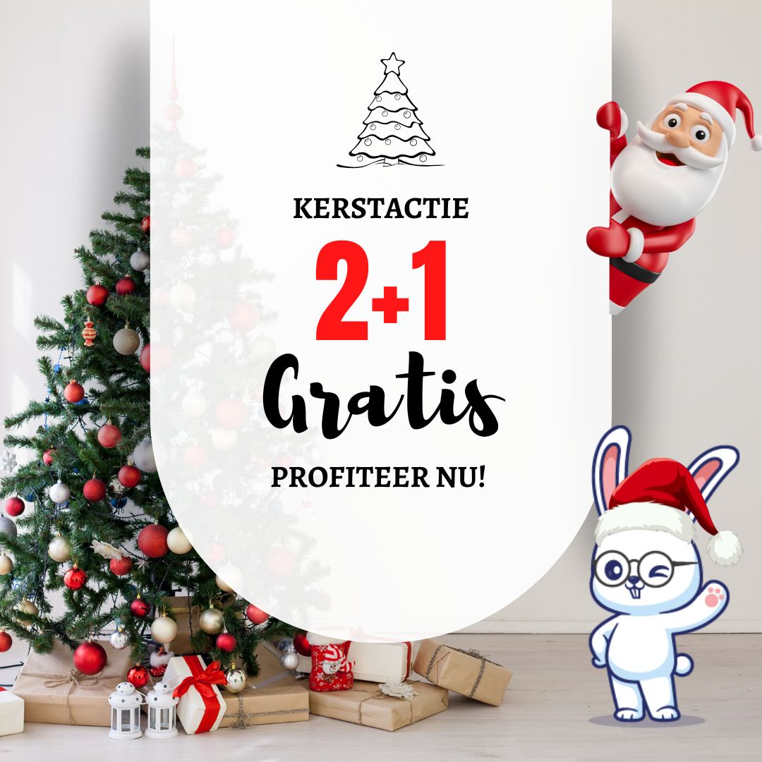 Kerstcadeau