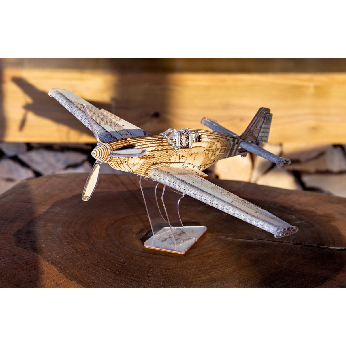 3D Speedfighter