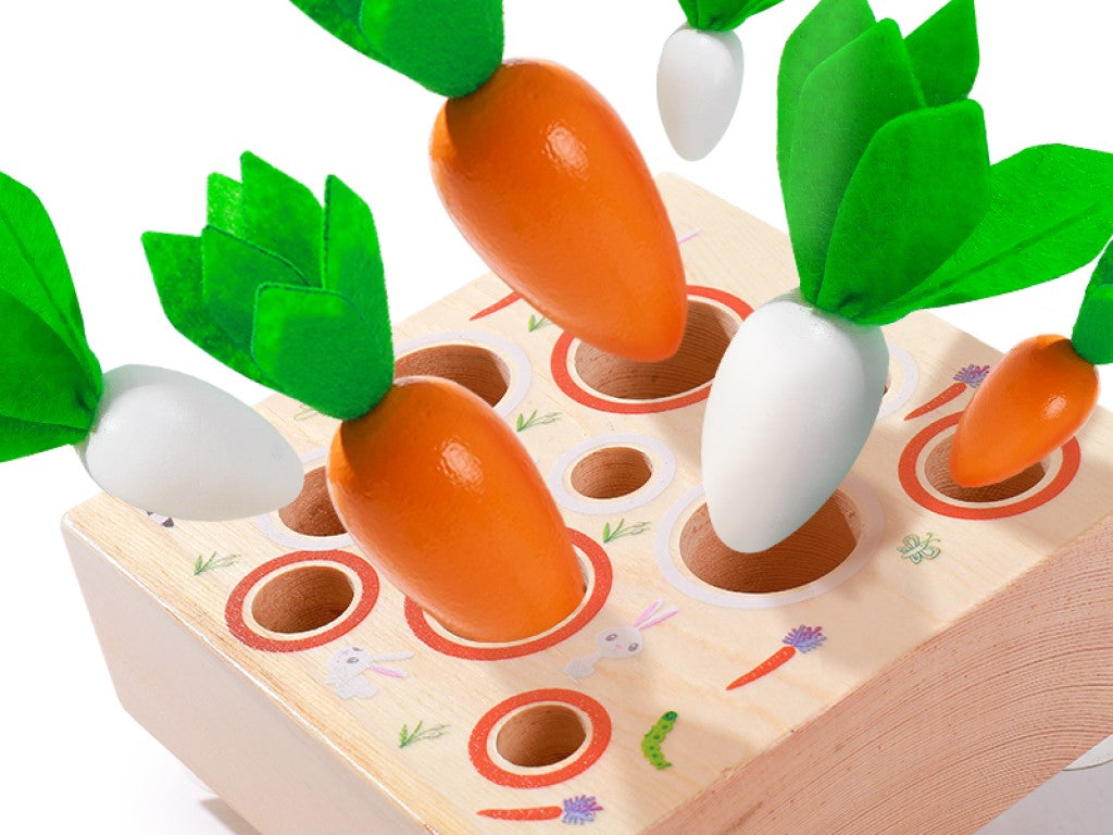 🥕 Houten Insteekpuzzel – Wortels – Educatief Montessori Speelgoed