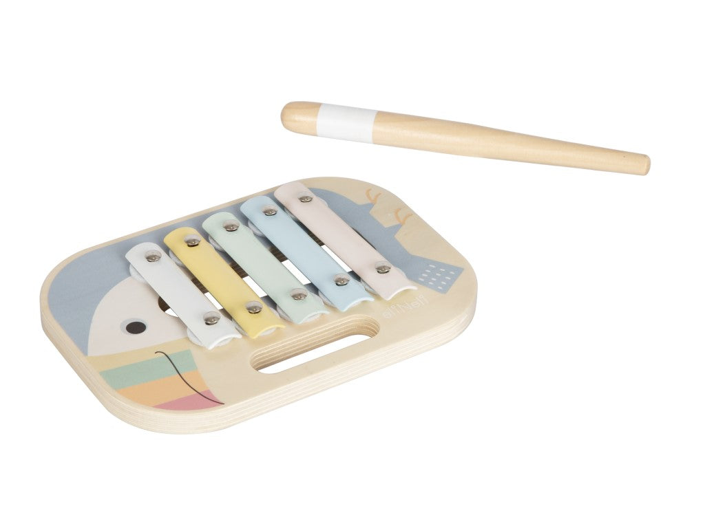 Muziekale Ontdekkingsset 3-in-1