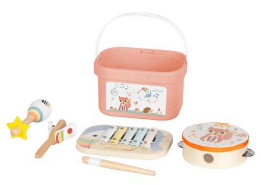 Muziekale Ontdekkingsset 3-in-1