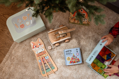 EliFix Travel Magnetische Bouwset – 100 stuks
